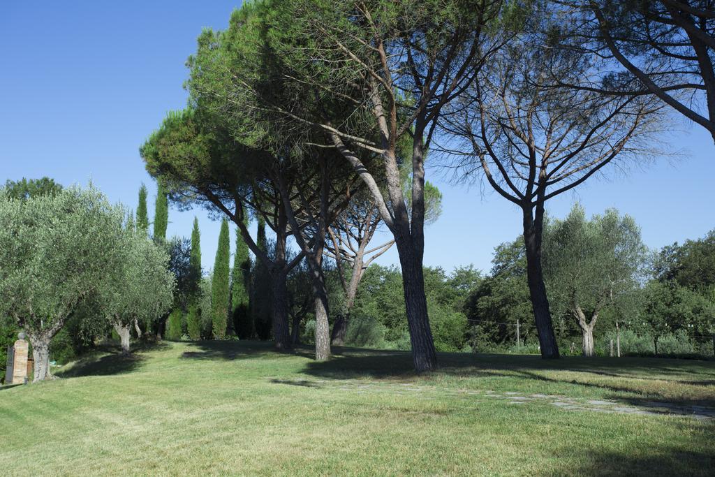 Casale Degli Ulivi Hotel Rapolano Terme Luaran gambar