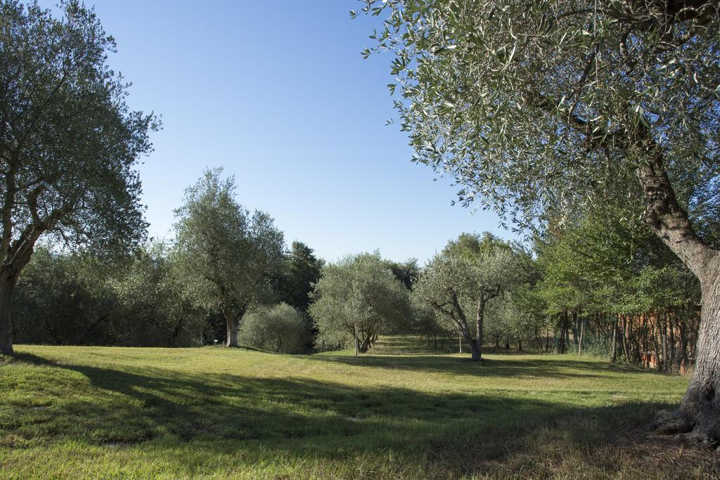 Casale Degli Ulivi Hotel Rapolano Terme Luaran gambar