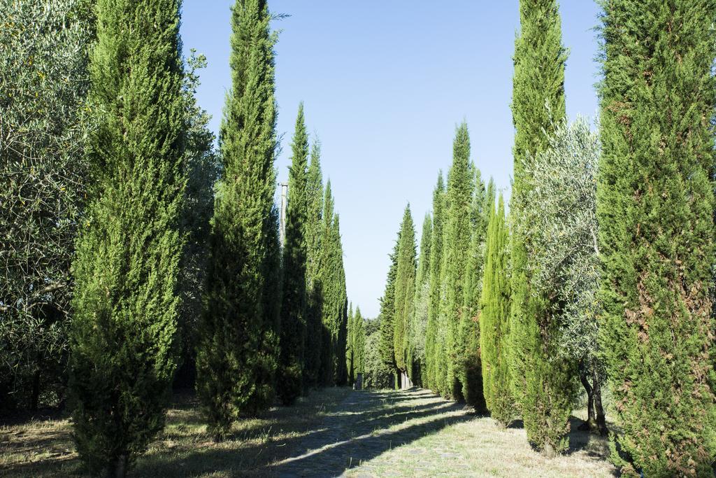 Casale Degli Ulivi Hotel Rapolano Terme Luaran gambar