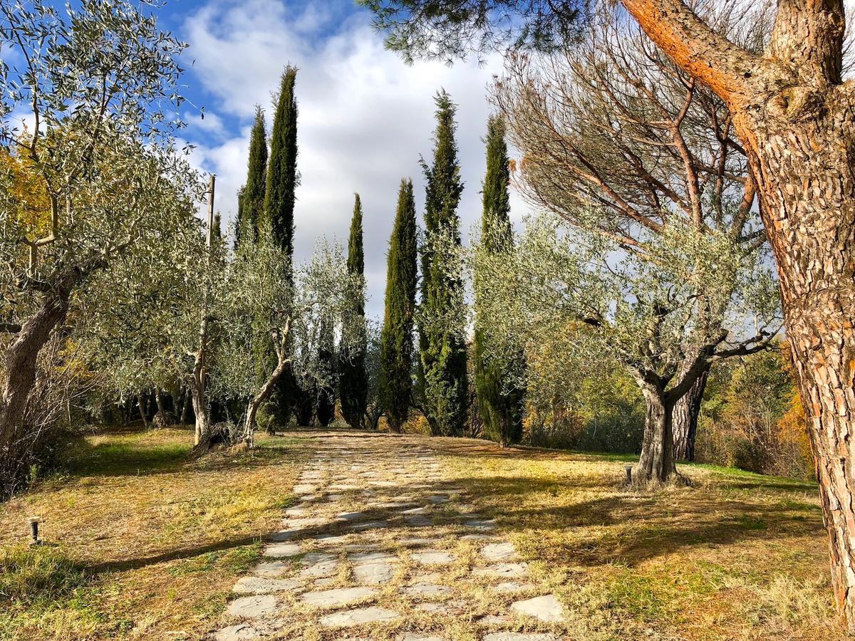 Casale Degli Ulivi Hotel Rapolano Terme Luaran gambar